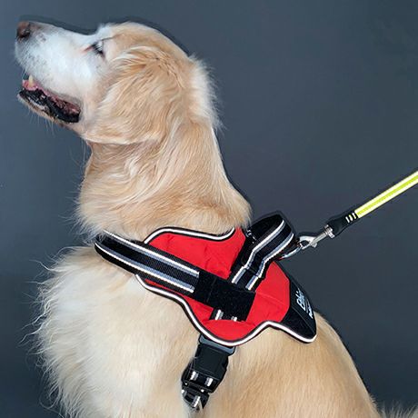 犬用胴輪 EthicalDoor エシカルドア イージーウェアハーネス L レッド