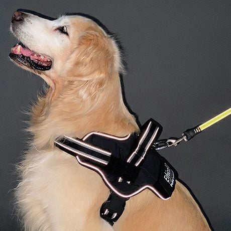 犬用胴輪 EthicalDoor エシカルドア イージーウェアハーネス L