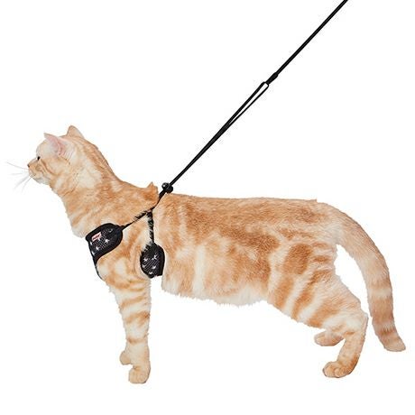 商品イメージ