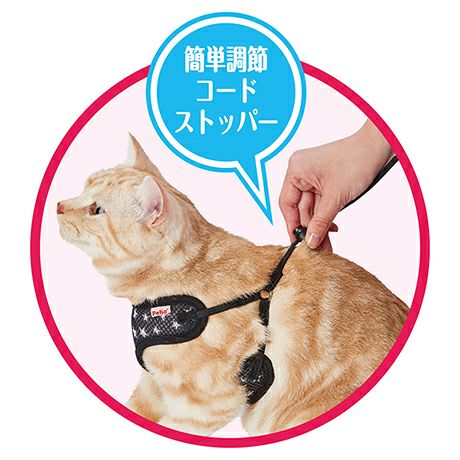 商品イメージ