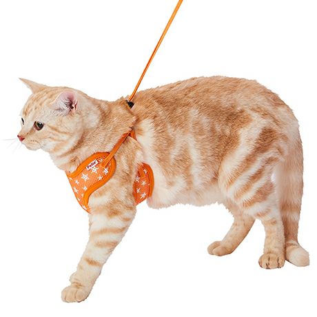 猫用胴輪 イージーキャットハーネス オレンジ | ペティオ オンライン