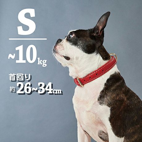 犬用首輪 Porta ポルタ クラシックソフトレザーカラー 21mm レッド