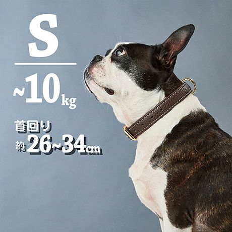 犬用首輪 Porta ポルタ クラシックソフトレザーカラー 21mm ブラウン