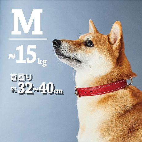 20%OFF！スーパーSALE】犬用首輪 Porta ポルタ クラシックソフトレザー