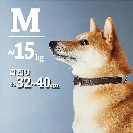 犬用首輪 Porta ポルタ クラシックソフトレザーカラー 24mm ブラウン