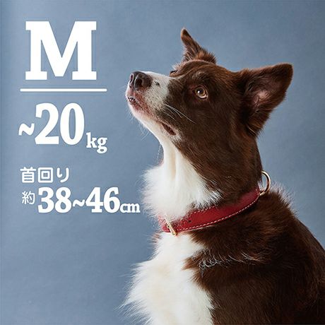 20%OFF！スーパーSALE】犬用首輪 Porta ポルタ クラシックソフトレザー