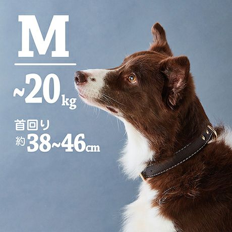 犬用首輪 Porta ポルタ クラシックソフトレザーカラー 30mm ブラウン