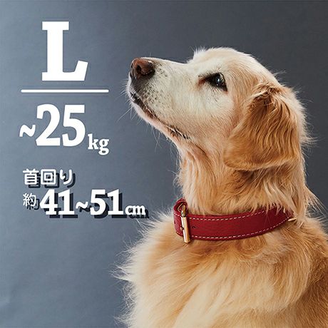 犬用首輪 Porta ポルタ クラシックソフトレザーカラー 36mm レッド
