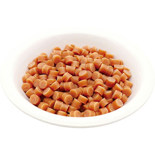 成犬用総合栄養食 10%OFF！おでかけ特集】Plact プラクト 総合栄養食 無添加 とろーり