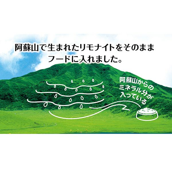 商品イメージ