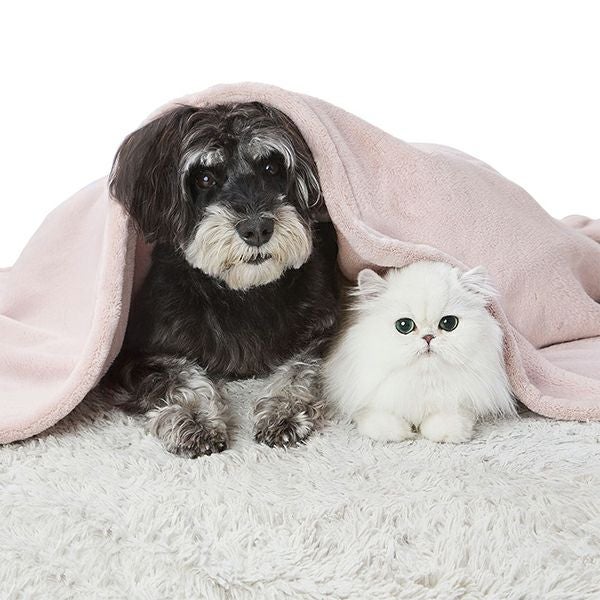 30%OFF！スーパーSALE】犬猫用毛布 ミルクマイヤーブランケット ワイド
