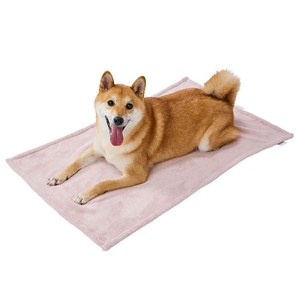 犬用の柔らかい毛布 30%OFF！あったかアイテム】犬猫用毛布 ミルクマイヤーブランケット