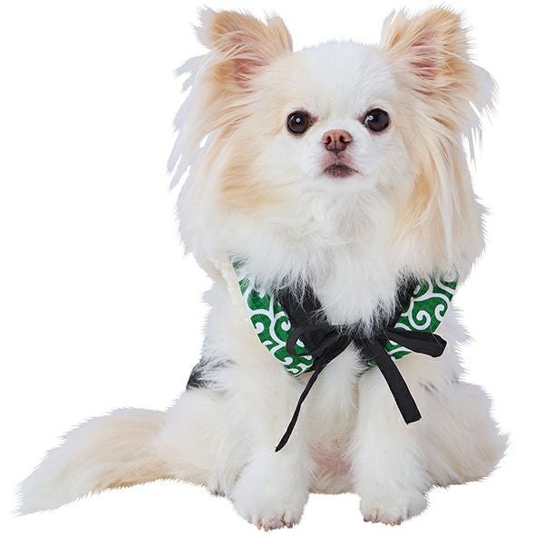 子犬ちゃん様ご専用♡サルート☆プレステージ　ソングM マザーガーデン とことこおさんぽシリーズ《茶プードル》 単品