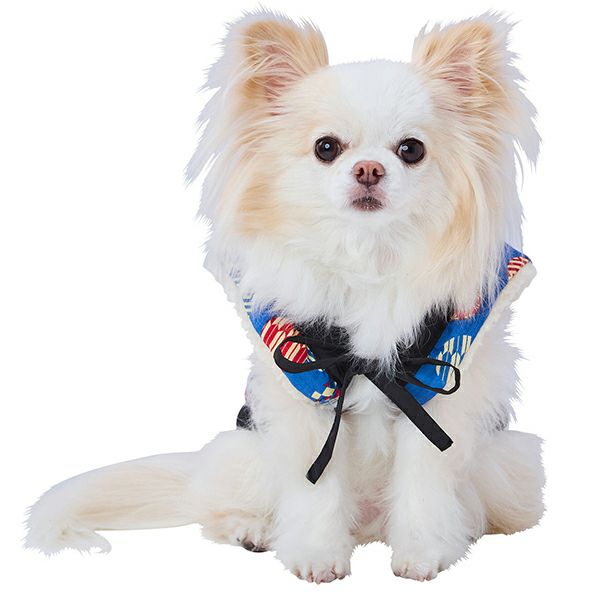30%OFF！あったかアイテム】犬用ウェア 犬雅 あったかちゃんちゃんこ