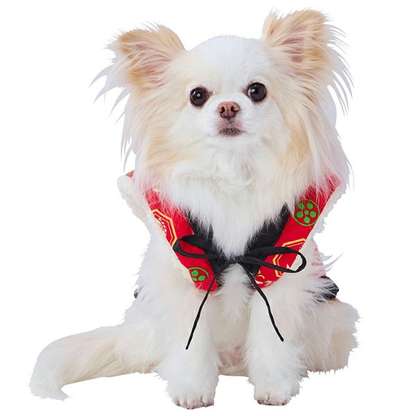 犬用ウェア 犬雅 あったかちゃんちゃんこ AWZ たい S | ペティオ