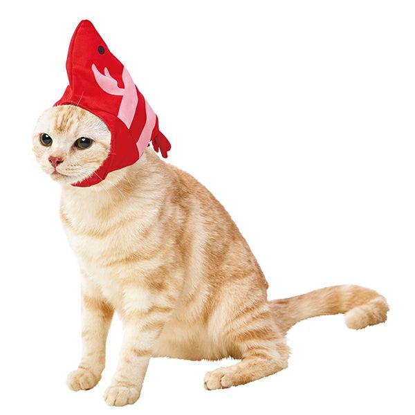 30%OFF！あったかアイテム】猫用コスプレ 変身ほっかむり ジャパニーズ
