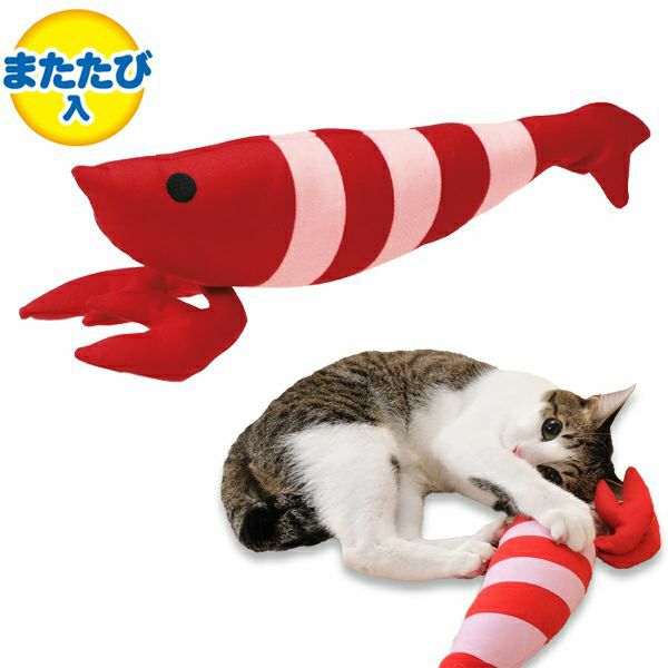 20%OFF】【数量限定スターター6点セット】キャットサークル 2段＋つめ