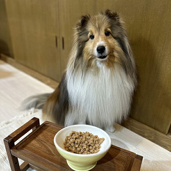 商品イメージ