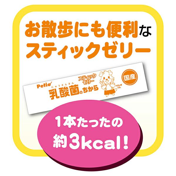 乳酸菌のちから スティックゼリー フルーツミックス味 8本入