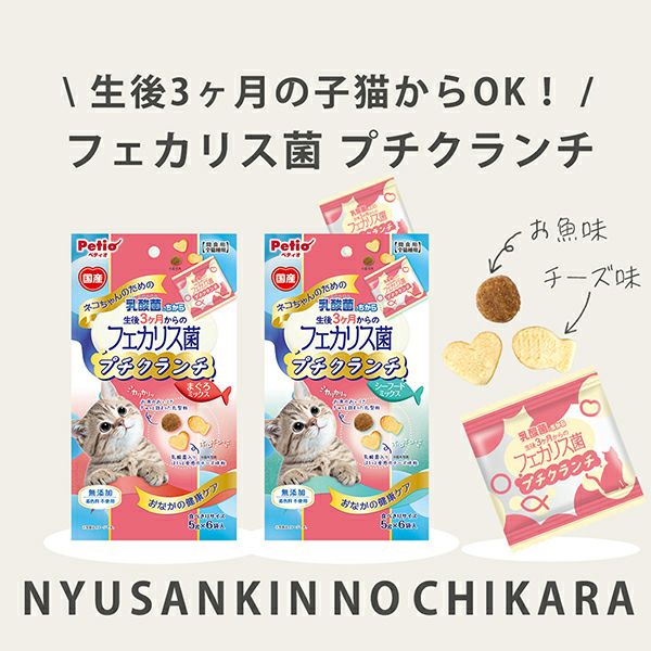 ネコちゃんの乳酸菌のちから 3ヶ月からのフェカリス菌プチクランチ