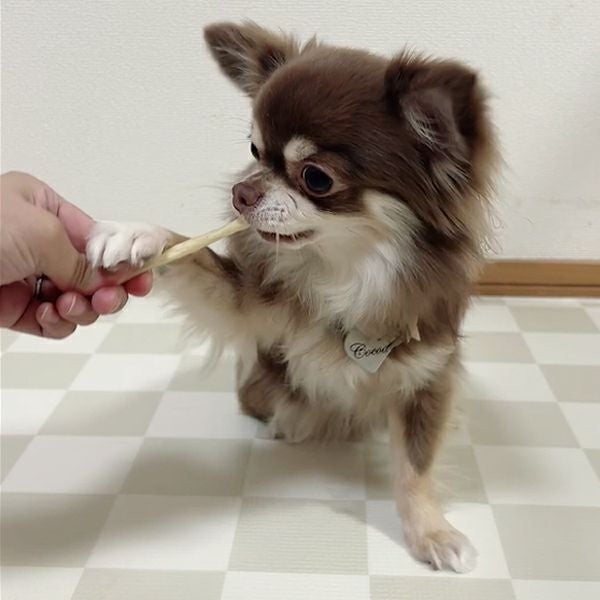 商品イメージ