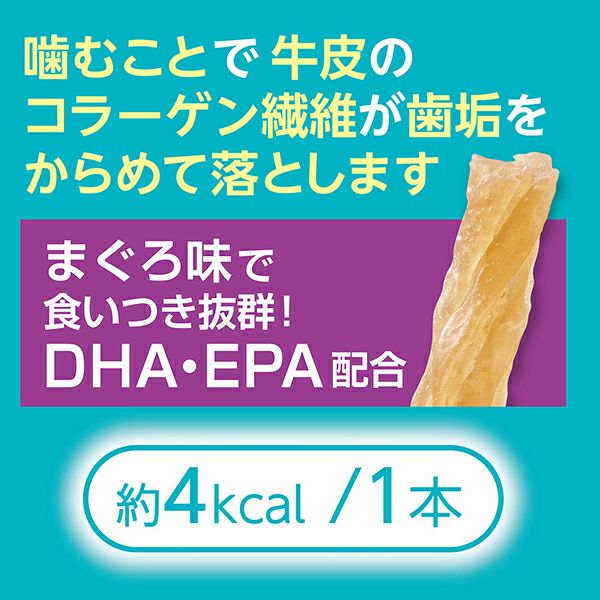 10%OFF！免疫ケア特集】Plact プラクト ねこちゃんの 歯みがきデンタル