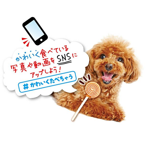 商品イメージ