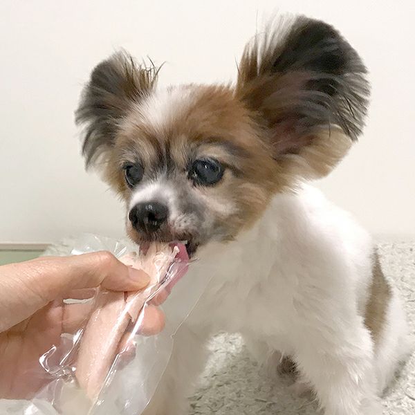 ハッスルおやつ研究所 ドッグ 蒸しささみ チキンスープ味 1本入