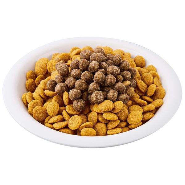 9%OFF】Add.Mate アドメイト リモナイトプラス 総合栄養食 半生