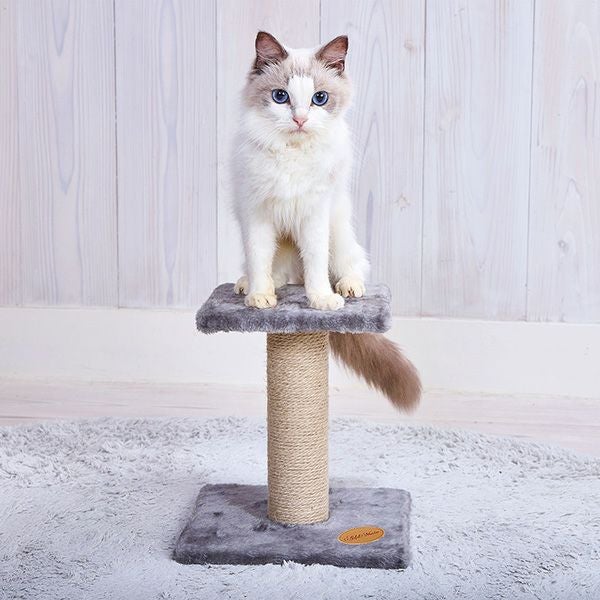 Add.Mate アドメイト 猫用タワー ロータイプタワー | ペティオ