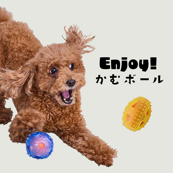 Add.Mate アドメイト 犬用おもちゃ Enjoy！かむボール サッカー