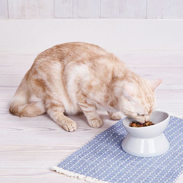 Add.Mate アドメイト 犬猫用食器 手前が低くて食べやすい脚付き食器 S