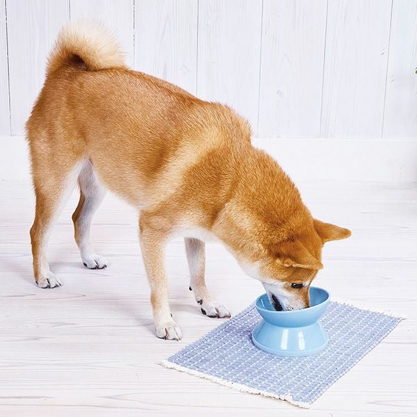 Add.Mate アドメイト 犬猫用食器 手前が低くて食べやすい脚付き食器 M