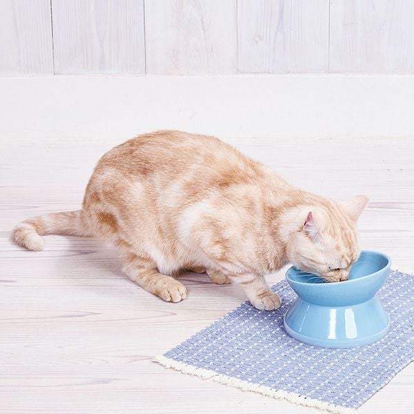 Add.Mate アドメイト 犬猫用食器 手前が低くて食べやすい脚付き食器 M