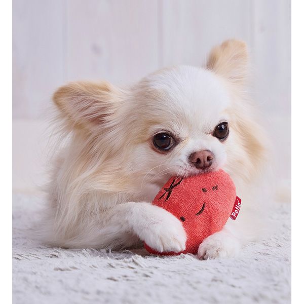 10%OFF！スーパーSALE】犬用おもちゃ はじめてのおつかい デンタル