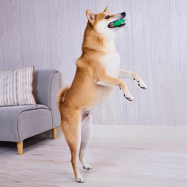 商品イメージ