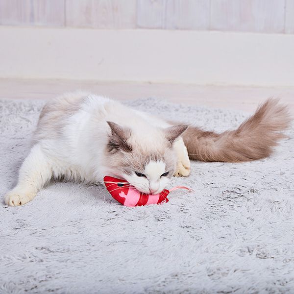 15%OFF！スーパーSALE】猫用おもちゃ ミニエビ大漁【会員様限定