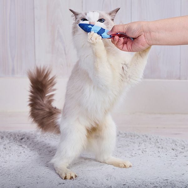 15%OFF！スーパーSALE】猫用おもちゃ ミニエビ大漁【会員様限定