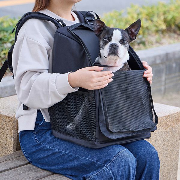 キャリー 、新品小型犬キャリー バッグ、リード、petioクールアルミピロー リュック・カート・キャリー・バッグ | ペティオ オンライン ショップ本店
