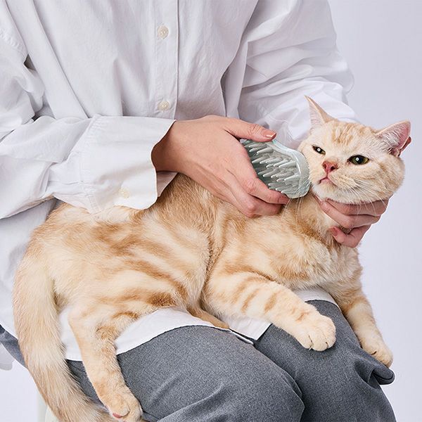 猫用 FIXCARE 猫にぴったり 裏表ピンで握りやすい ダブルラバーブラシ