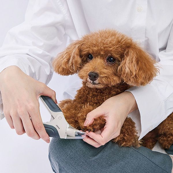 10%OFF！スーパーSALE】犬用爪切り FIXCARE 爪が飛び散らないカバー付