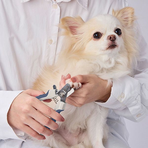 犬用の爪切り 犬用爪切り FIXCARE 深爪ガードプレート付 ネイルニッパー | ペティオ
