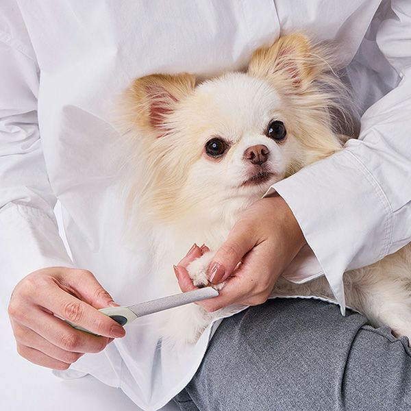 犬用 FIXCARE 爪を削って整える ネイルヤスリ | ペティオ オンライン
