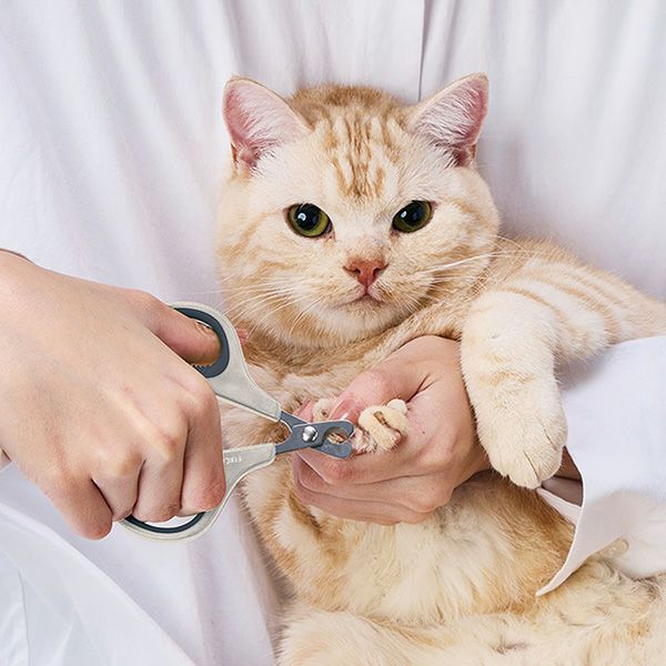 猫用爪切り FIXCARE 滑りにくい持ち手 ネイルハサミ | ペティオ