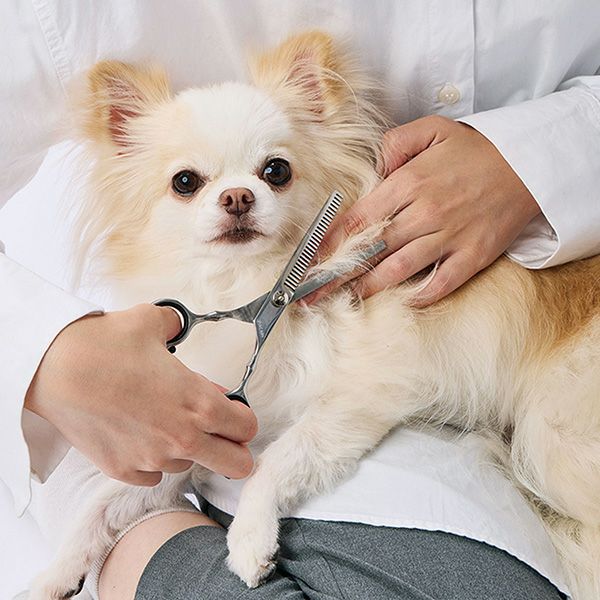 犬猫用 FIXCARE 刃先が優しい スキバサミ | ペティオ オンライン