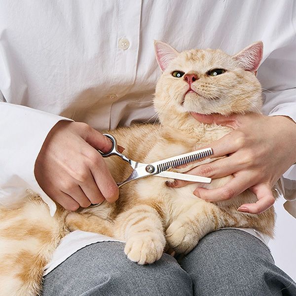 犬猫用 FIXCARE 刃先が優しい スキバサミ | ペティオ オンライン