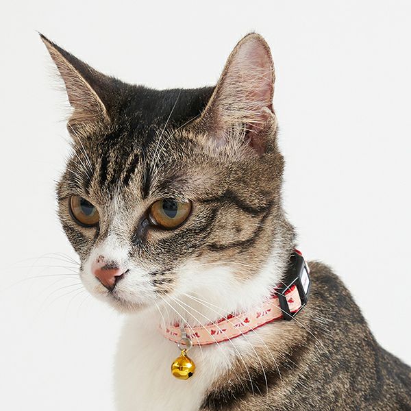 フィフィー&ロメオ　首輪 猫用首輪 CAT COLLAR エビ レッド | ペティオ オンライン ショップ本店