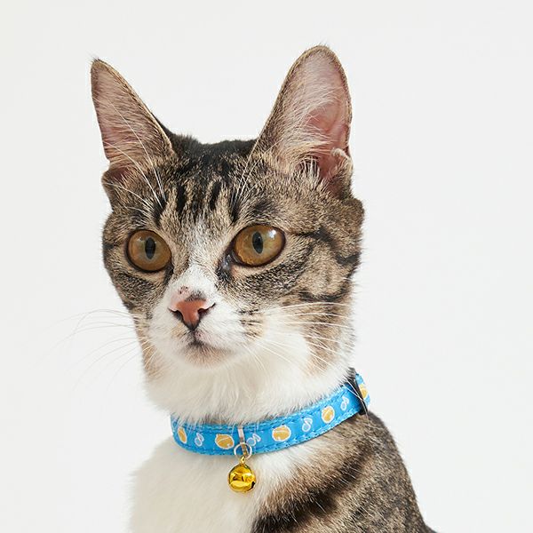 猫用首輪 CAT COLLAR スズ ブルー | ペティオ オンライン ショップ本店