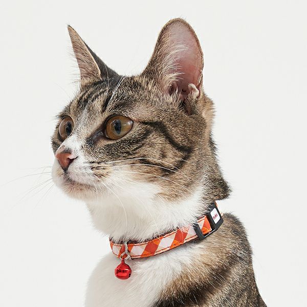 猫用首輪 CAT COLLAR チェック レッド | ペティオ オンライン ショップ本店