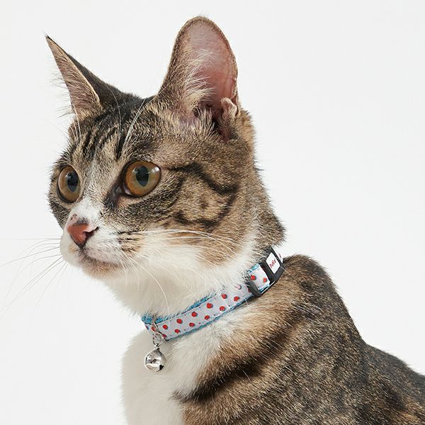 猫用首輪 CAT COLLAR ドット ブルー | ペティオ オンライン ショップ本店